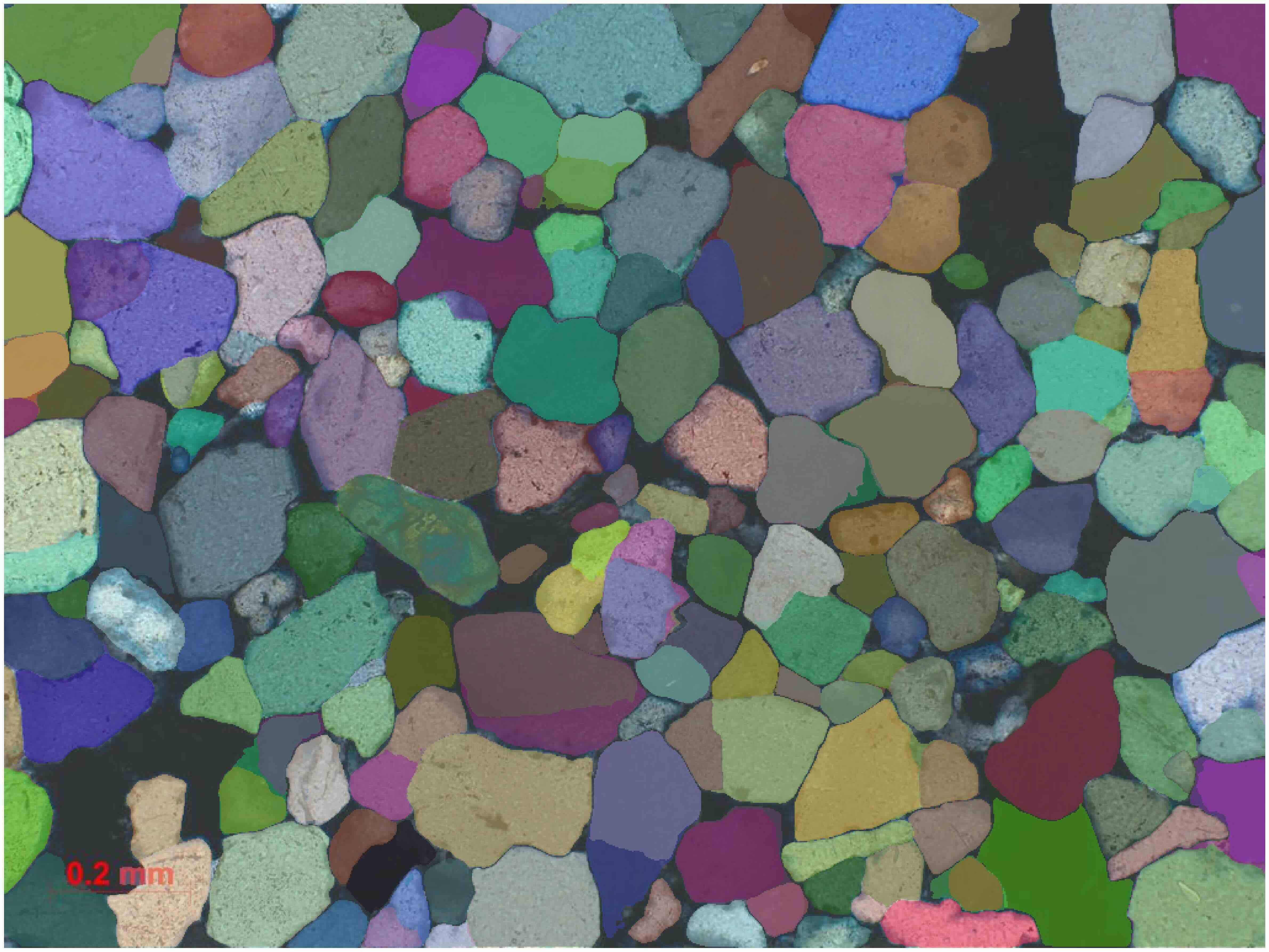 SAM segmentation output example