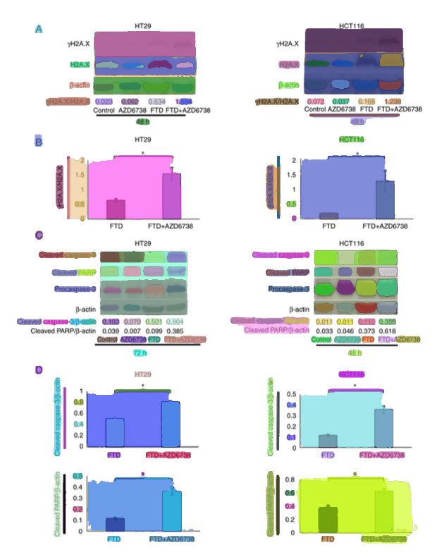 SAM segmentation: masks over a compound figure