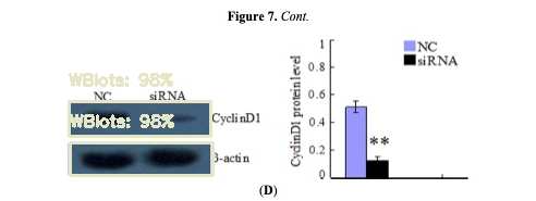Candidate crops: useful western blot panels